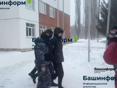 Мизулина попросила СМИ не распространять кадры стрима нападения школьника