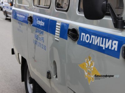 Жительница Башкирии, напав на полицейского в спецмашине, спровоцировала ДТП