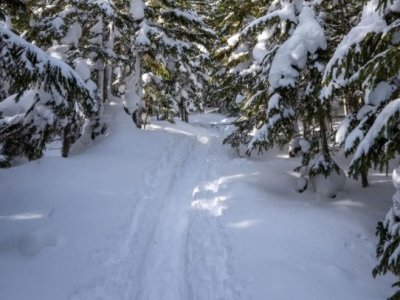 В Башкирии за сутки потерялись 3 человека