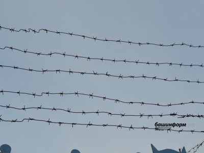 Похитителей уфимца отправили за решетку