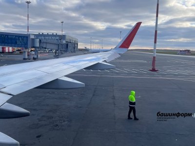 Сотрудника аэропорта Уфы оштрафовали за поврежденное крыло самолета
