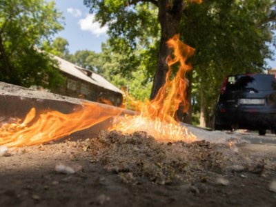 Детская шалость обернулась иском на миллионы: 9-летний мальчик может остаться без крыши над головой из-за сгоревшего BMW